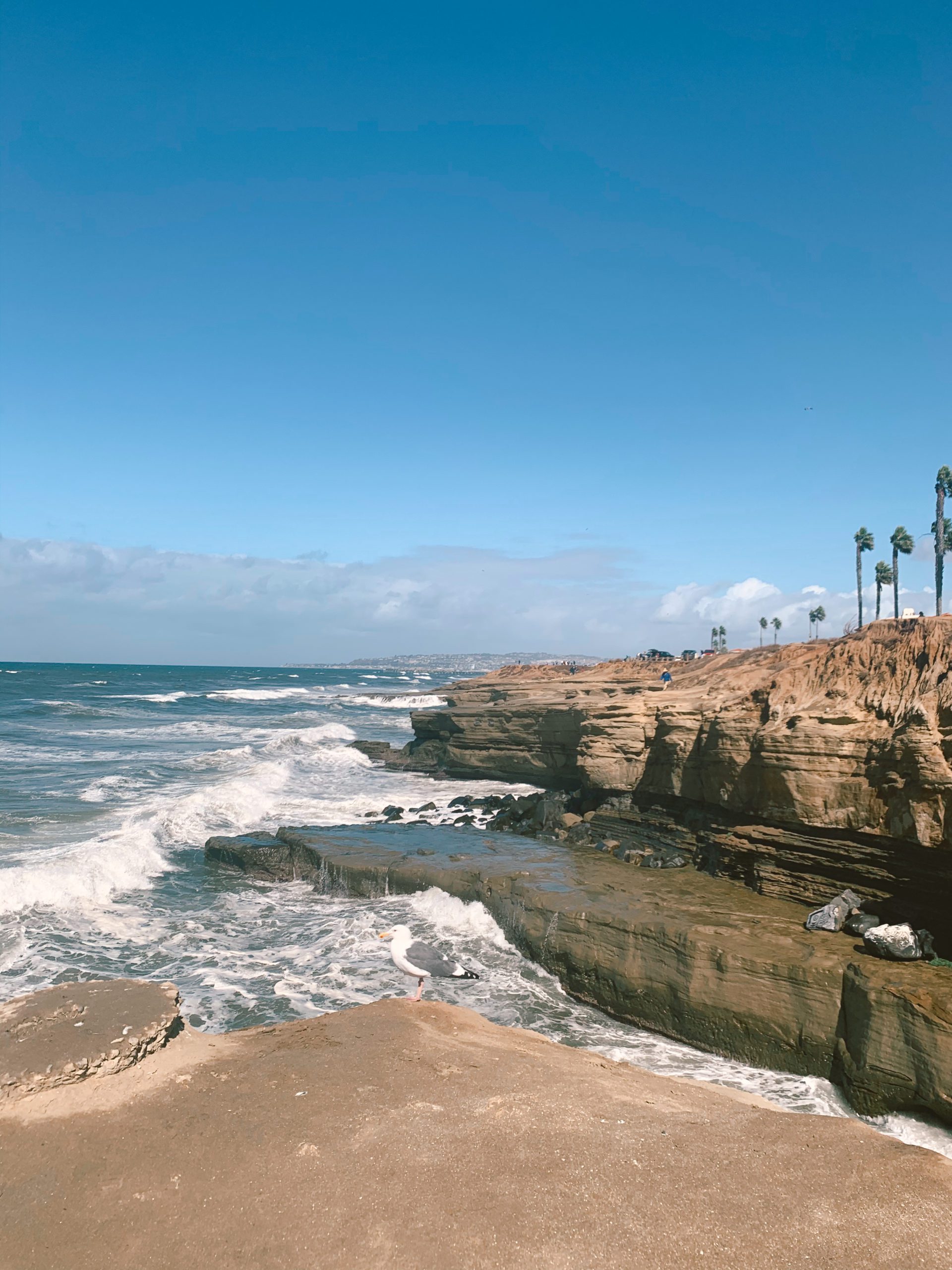 Newbie Places To Visit In San Diego, California