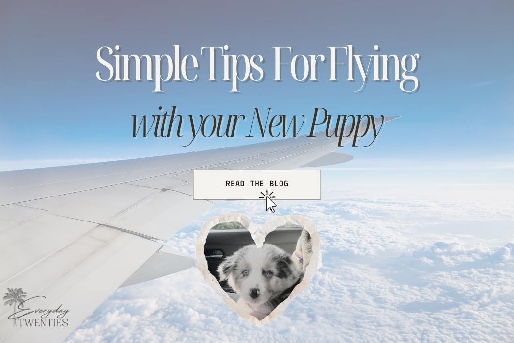 Jet-Setting Puppy: Simple Tips for Flying with Your New Puppy