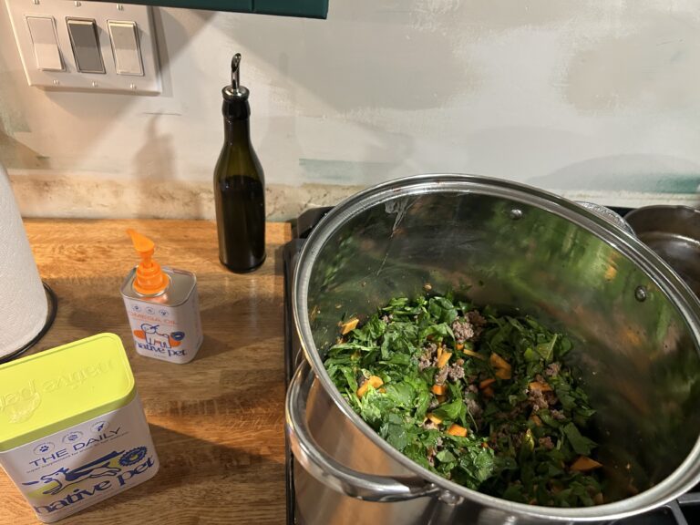 how to make dog food cover image of beef homemade dog food in a silver pot