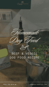 image of homemade dog food with dog supplements next to silver pot of dog food