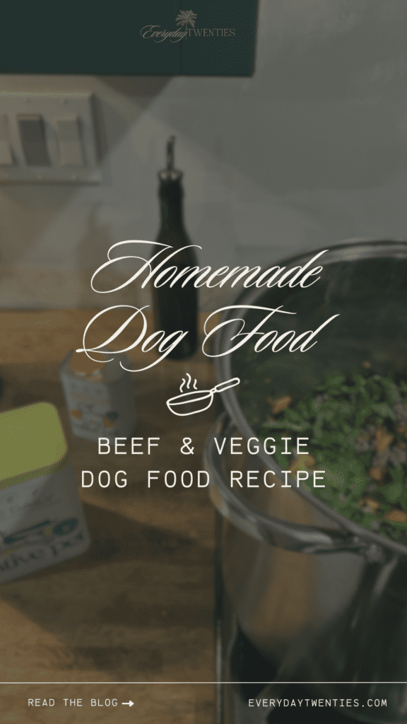image of homemade dog food with dog supplements next to silver pot of dog food