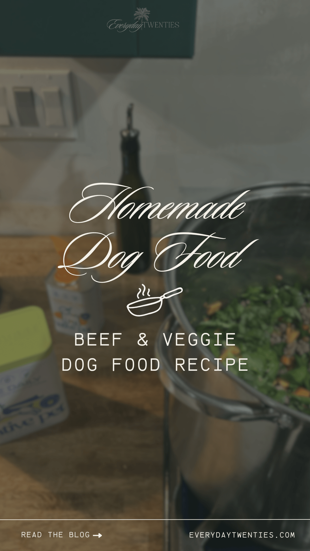 image of homemade dog food with dog supplements next to silver pot of dog food