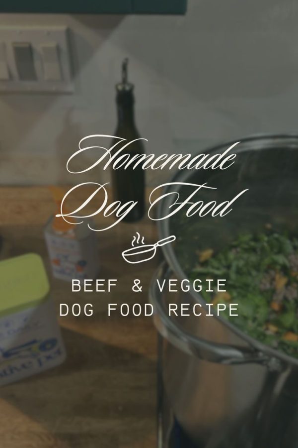 Homemade Dog Food Recipe 🐾 Beef & Veggies