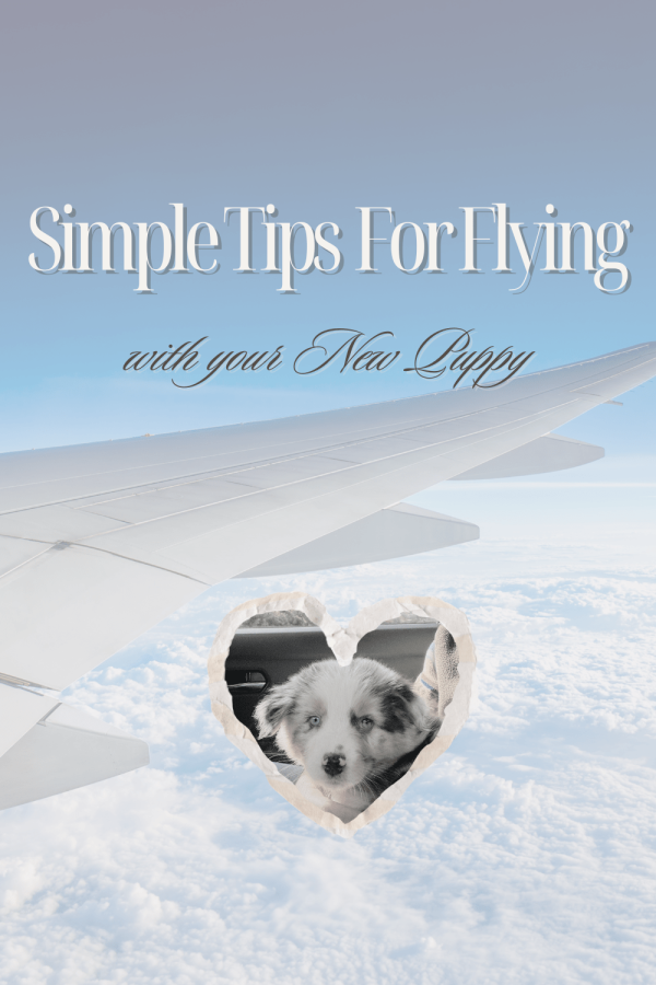 RE-DO - Pinterest Pins Flying for New Puppy (Instagram Post)