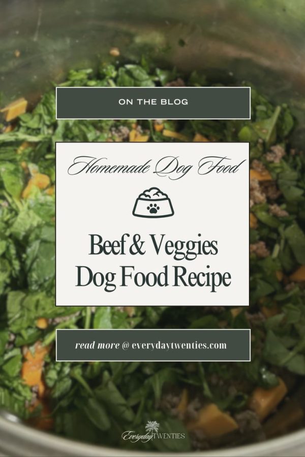 🐾 Deliciously Healthy Homemade Dog Food