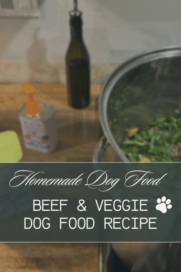 🐾 Pawsitively Yum! Easy Beef & Veggie Dog Food Recipe 🥦🥩